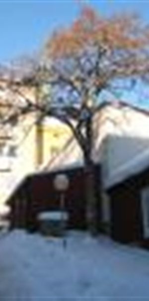 Pilens Backe 3 - Photo 2