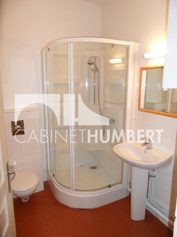 Location Appartement 2 pièces 50m² ST ETIENNE 42000 - Photo 5