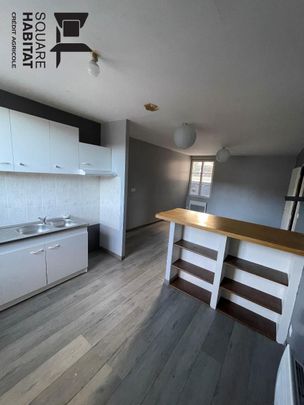 Location Appartement 3 pièces 75m² DESCARTES 37160 - Photo 1