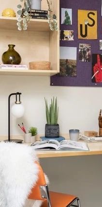 Bedsit, Leadmill Road, S1 - Photo 1