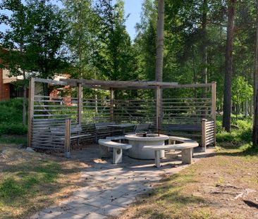 Brännsvedjevägen, Kåge - Photo 2