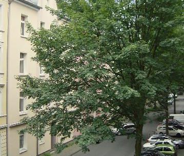 Renovierte 2-Zimmer-Wohnung in der Lange Str. 79 zu vermieten! - Photo 6