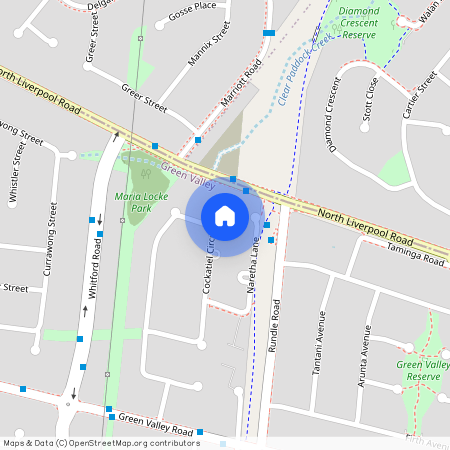 142 Cockatiel Circuit, NSW 2168, Green Valley