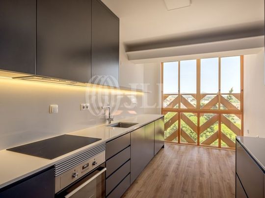 3 room luxury Flat for rent in Quinta da Bicuda (Cascais), Cascais e Estoril, Cascais, Lisbon - Photo 1