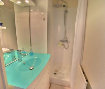 Appartement 1 Pièce 24 m² - Photo 4