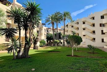 Alicante, Valencian Community 03700