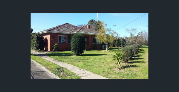 Solid Brick Veneer - Photo 1
