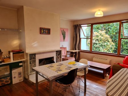 17 Waimairi Road, Upper Riccarton - Photo 5