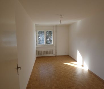 3 ½ Zimmer-Wohnung in Regensdorf mieten - Photo 3