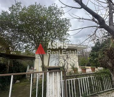 Μονοκατοικία, προς ενοικίαση Σωρός, Μαρούσι Κωδικός 2173027 - Photo 6