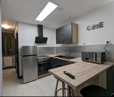Location Appartement 1 pièce 35m² ISSOUDUN 36100 - Photo 3