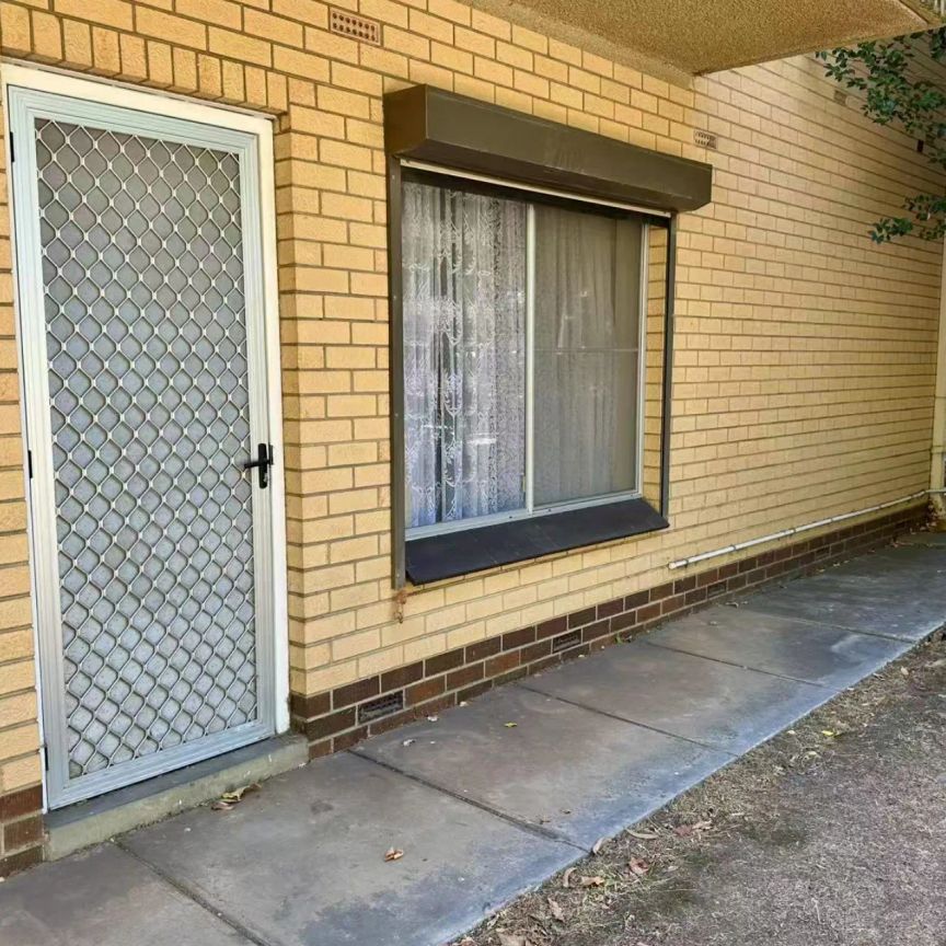 Lower level 2 bedroom unit in Norwood!! - Photo 1