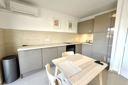 Charmant Studio refait à neuf - Photo 3