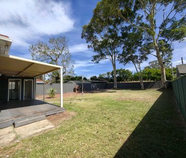 Your Dream 3 Bedroom Family Home | Spacious Yard and Walk to Panani... - Photo 5