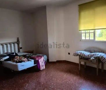 Chiva - Photo 3
