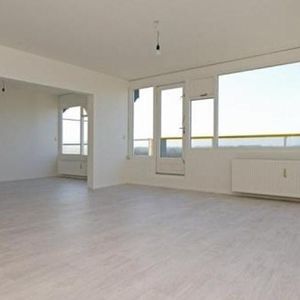 De Brink, 2553 HA Den Haag, Nederland - Photo 2