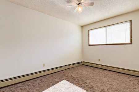 Renovated Suite - 1 Bedroom - Photo 3