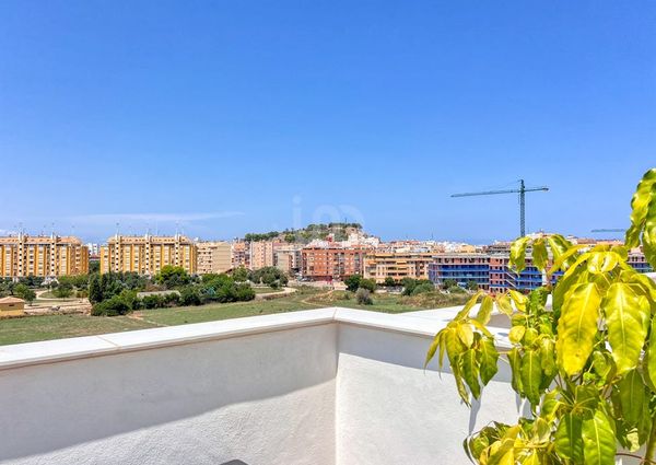 Alicante, Valencian Community 03700