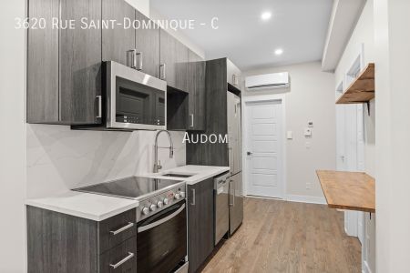 3620 Rue Saint-Dominique - C - Photo 2