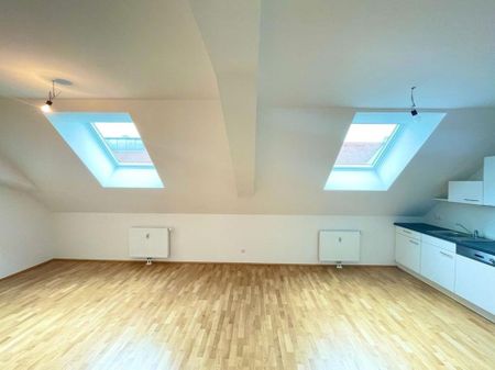 2-Zimmer Wohnung nahe Kunsthaus - Provisionsfrei! - Foto 2