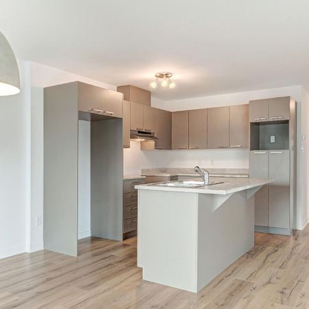 Logement 4 1/2 - Janvier 2026 - Photo 3