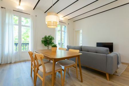 Passeig de Sant Joan, Barcelona, Catalonia 08010 - Photo 4