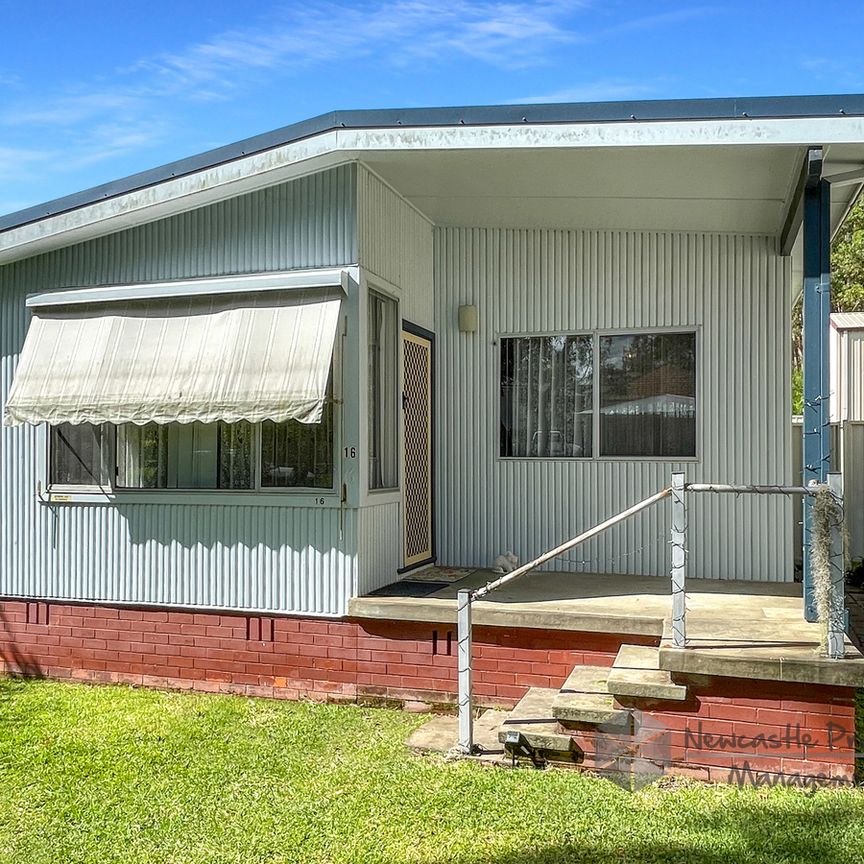 16 Beeson St, Cardiff South - Photo 1