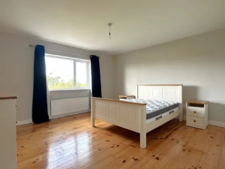 Lavallyconor, Ardrahan, Co Galway, H91 EDY7 - Photo 5