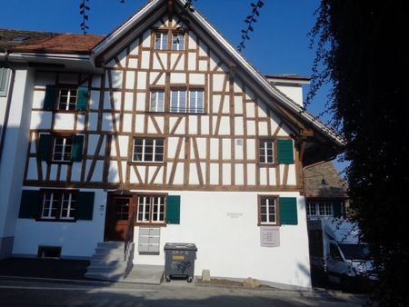 Un bel appartement avec beaucoup de charme près d’Albisriederdörfli - Foto 2