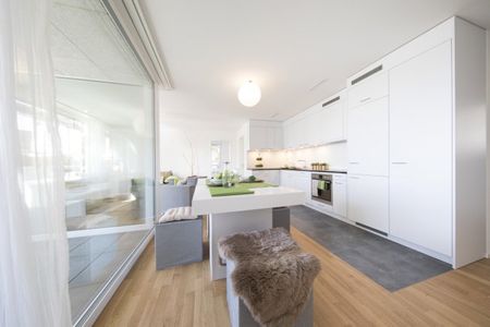 2.5 Zimmer, 54 m², 1. Stock - Foto 5
