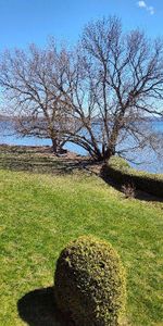 41/2 a louer au bord de l'eau - Photo 4