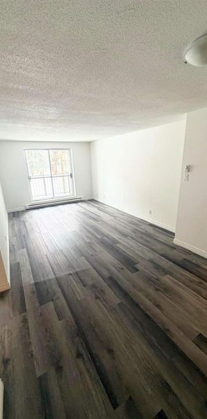 2 CH - 1 SDB - Gatineau - $1,699 /mo - Photo 1