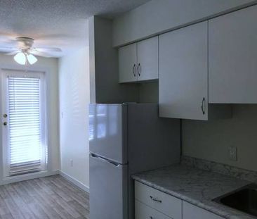 Newly renovated 1 Bdrm Apartment for rent - Photo 2