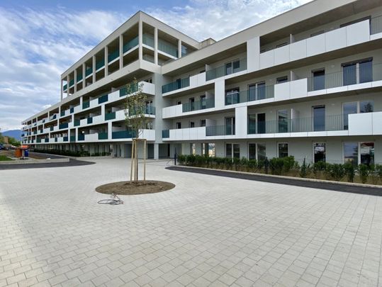 schöne, unbefristete Wohnung in guter Lage mit Balkon - Photo 1