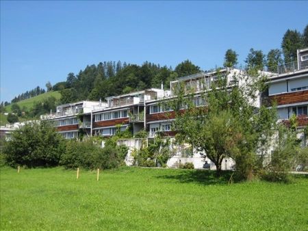 Location après rénovation. Le coin le plus calme de la Zürchermatte. - Photo 4