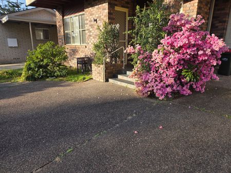 Home For Rent - Photo 5