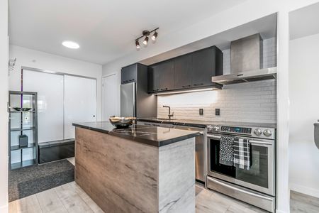 For Lease - 68 Abell Street Unit# 538, Toronto, Ontario - Photo 4