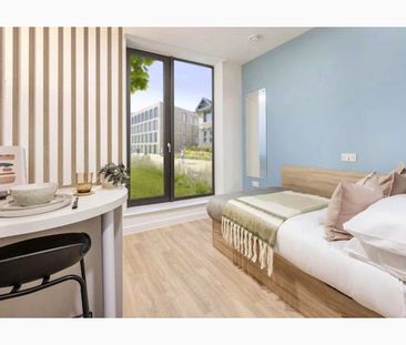 Accessible Studio - Photo 6