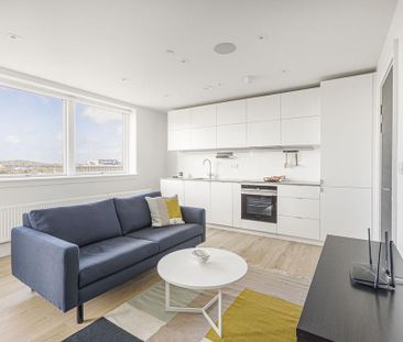 Studio to rent - Photo 3