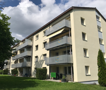 Moderne 1. Zimmerwohnung in Frauenfeld - Photo 2
