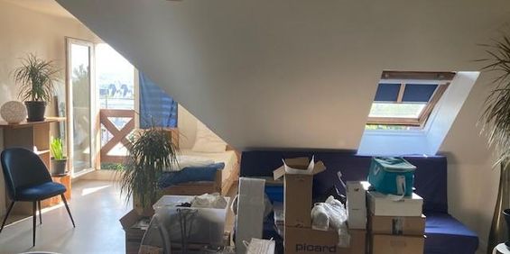 Location Appartement 1 pièce 28m² TOUQUES 14800 - Photo 3