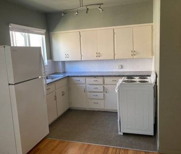 1 Bedroom Apartment on Fort Street $1600.00 - Photo 3