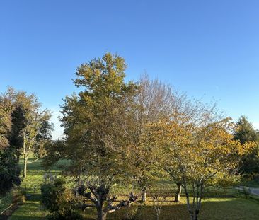 Location Appartement 3 pièces 77m² GAILLAC 81600 - Photo 6