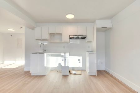 Appartement à louer - Montréal (Mercier/Hochelaga-Maisonneuve) (Hochelaga-Maisonneuve) - Photo 3