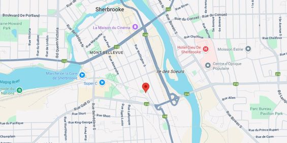 Grand 3 ½ Rénové à Louer Rue Laurier - Photo 3