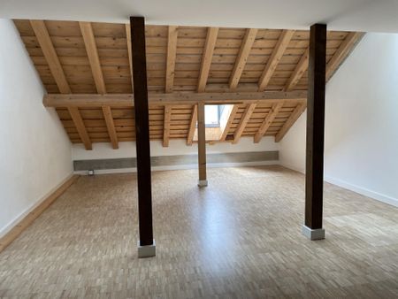 IMMEUBLE D'EXCEPTION - Rue du Manège 19 - appartement au 2ème Nord-Est - DUPLEX - Photo 5