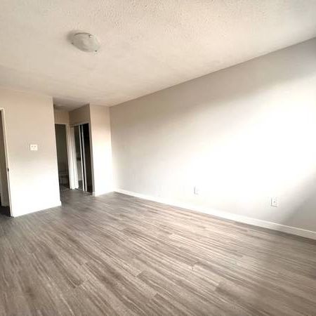 2 Bedroom + 1.5 Bathroom - Fully Renovated unit - Photo 4