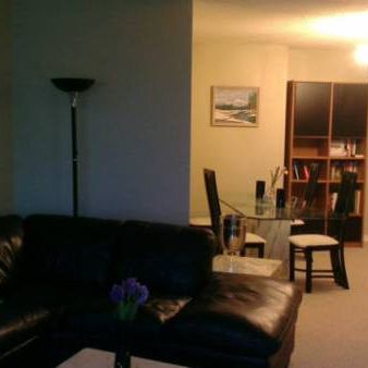 Spacious Furnished Harbourfront Condo - Photo 4