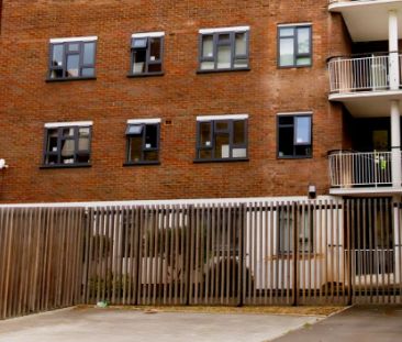 Bronze Room - Photo 4