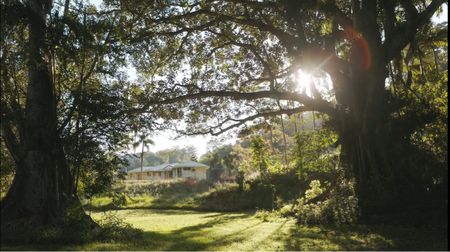 Charming Family Home in Upper Burringbar - Photo 3